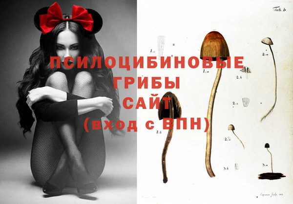 гидропоника Кинешма